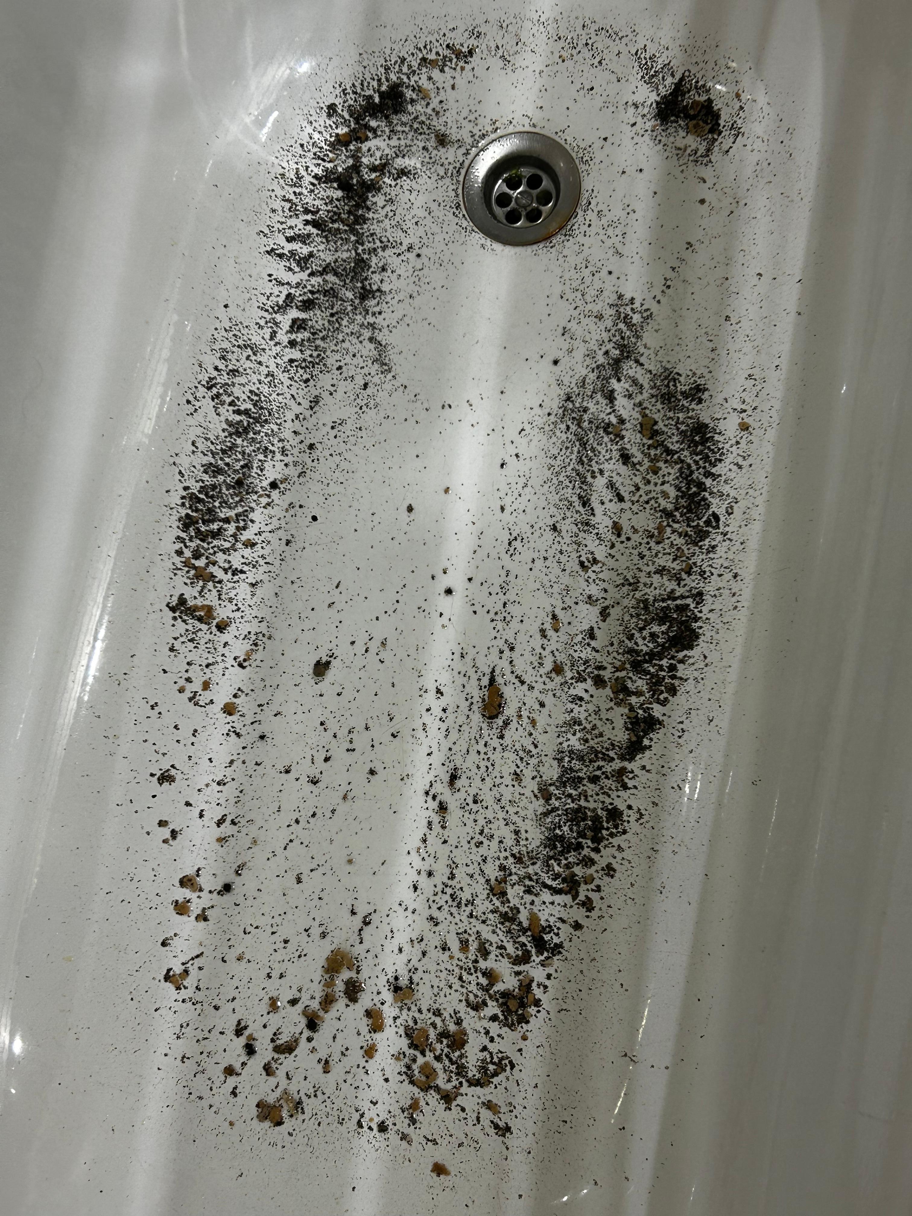 Al lavar la vajilla, la descarga hace reflujo y sale por la bañera con olor nauseabundo, hay que usar el duchador para que la bañera quede limpia y aplicar desodorante de ambientes.   