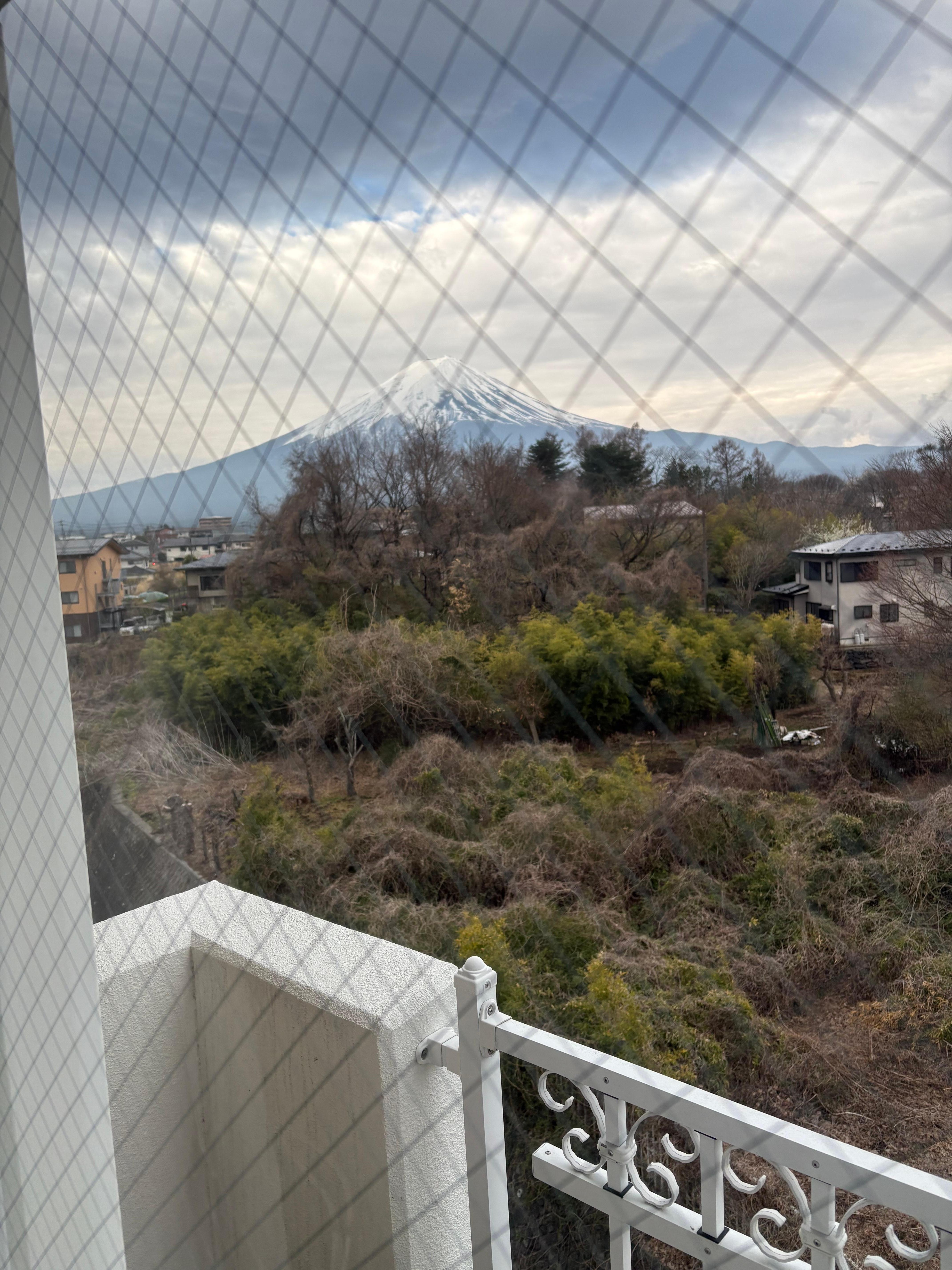 Morning view of Mt Fuji from our room!