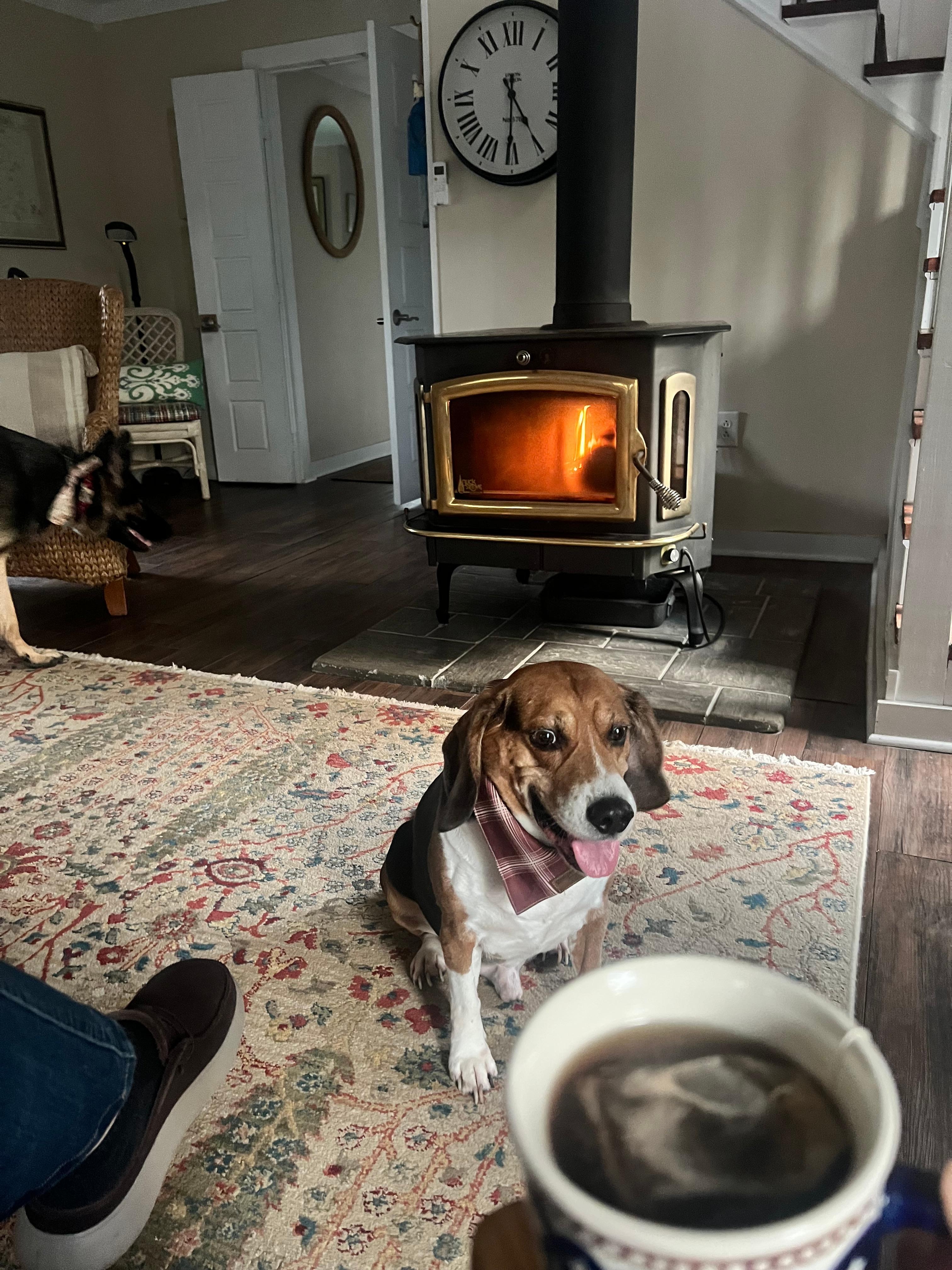 My favorite area to relax.  Right by the wood stove with my little buddy and some hot tea!