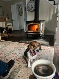 My favorite area to relax. Right by the wood stove with my little buddy and some hot tea!