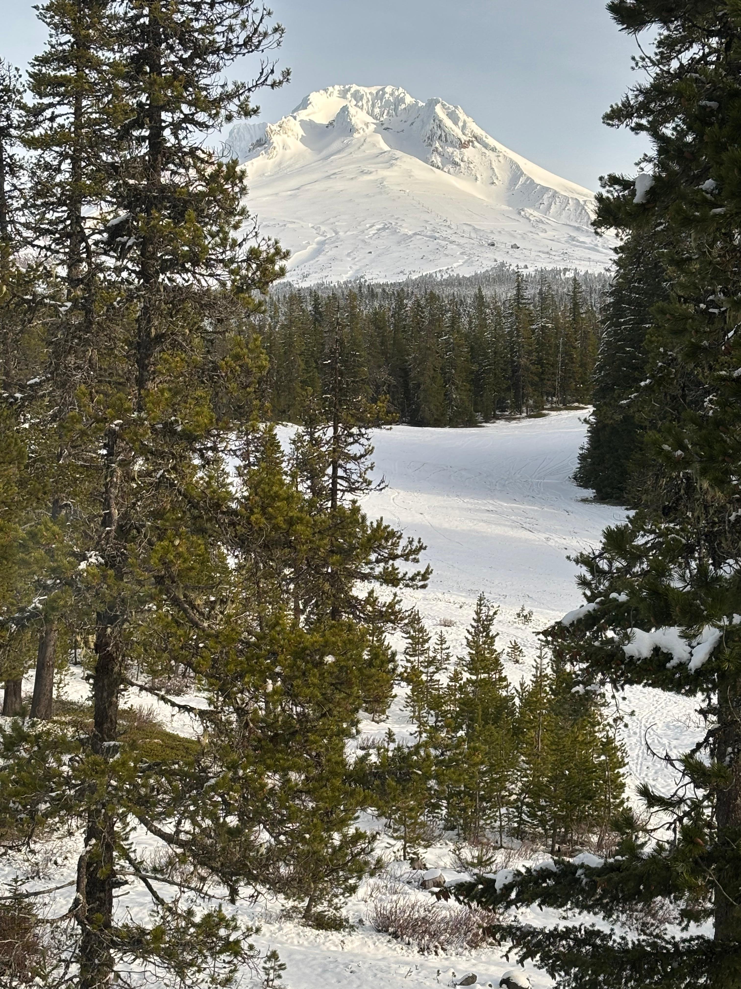 All photos taken sitting on the couch 😊