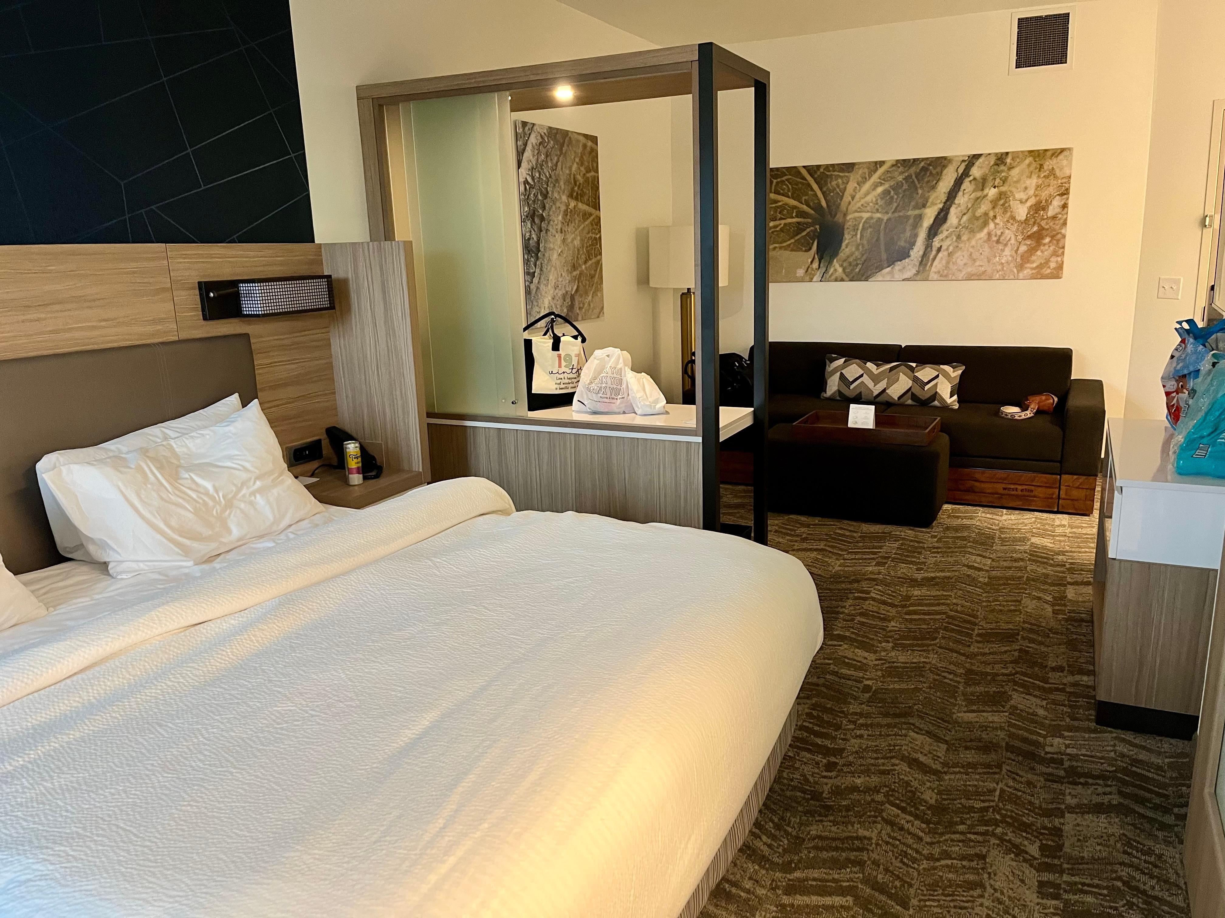 Nice sitting area with couch that turns into a bed or trundle bed 