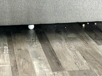 Food under couch