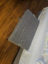 Room felt wet and damp as well as stains on the bench seat.