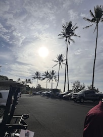 View from parking lot