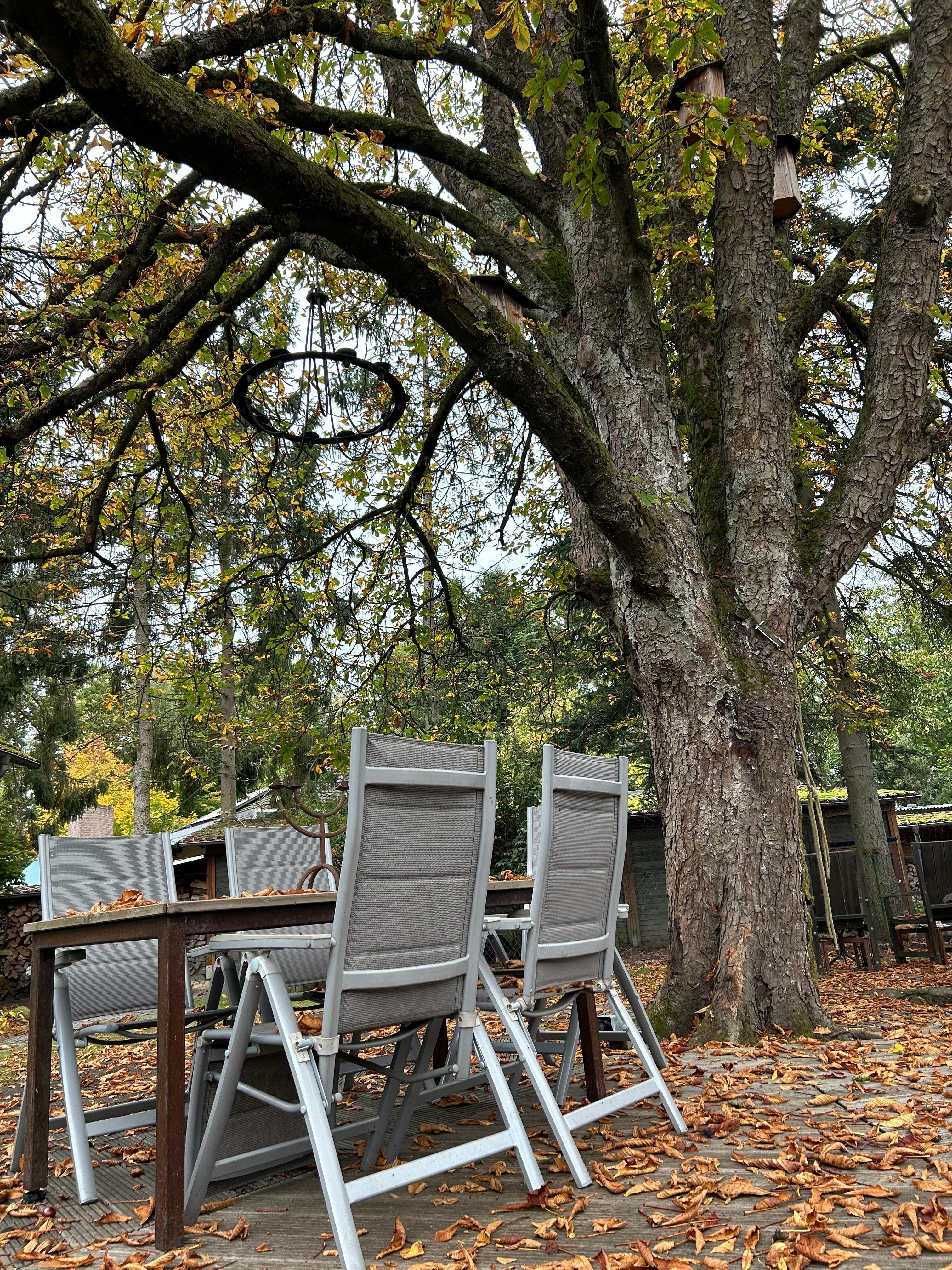 Garten auf dem Kastanienhof