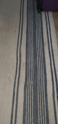Rug was not vacuumed