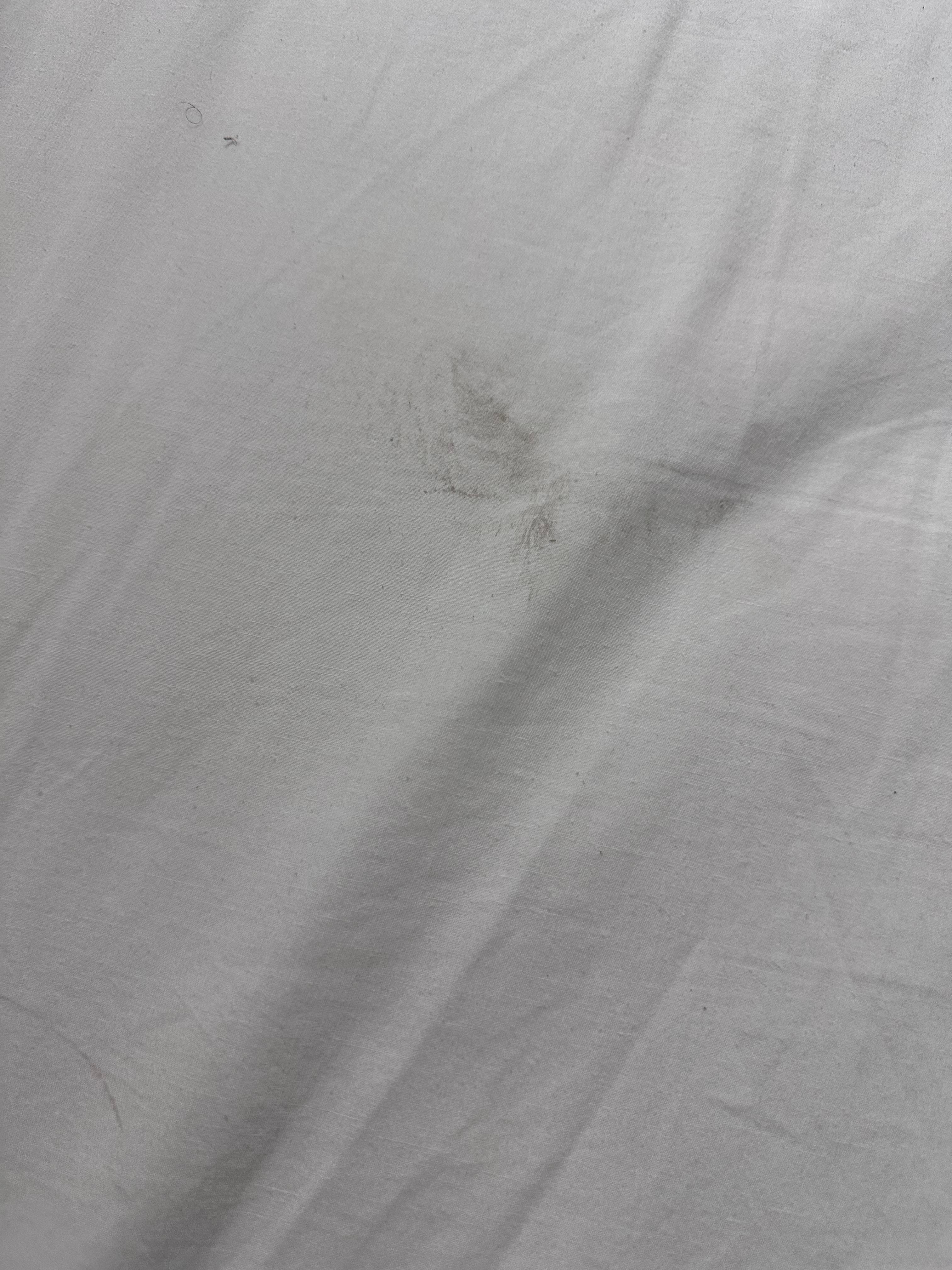 Sheets and pillow cases were so dirty!