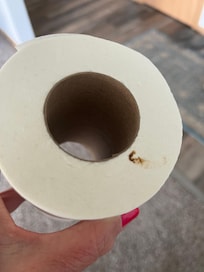 On the bathroom counter upon arrival