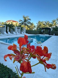 view from our patio.