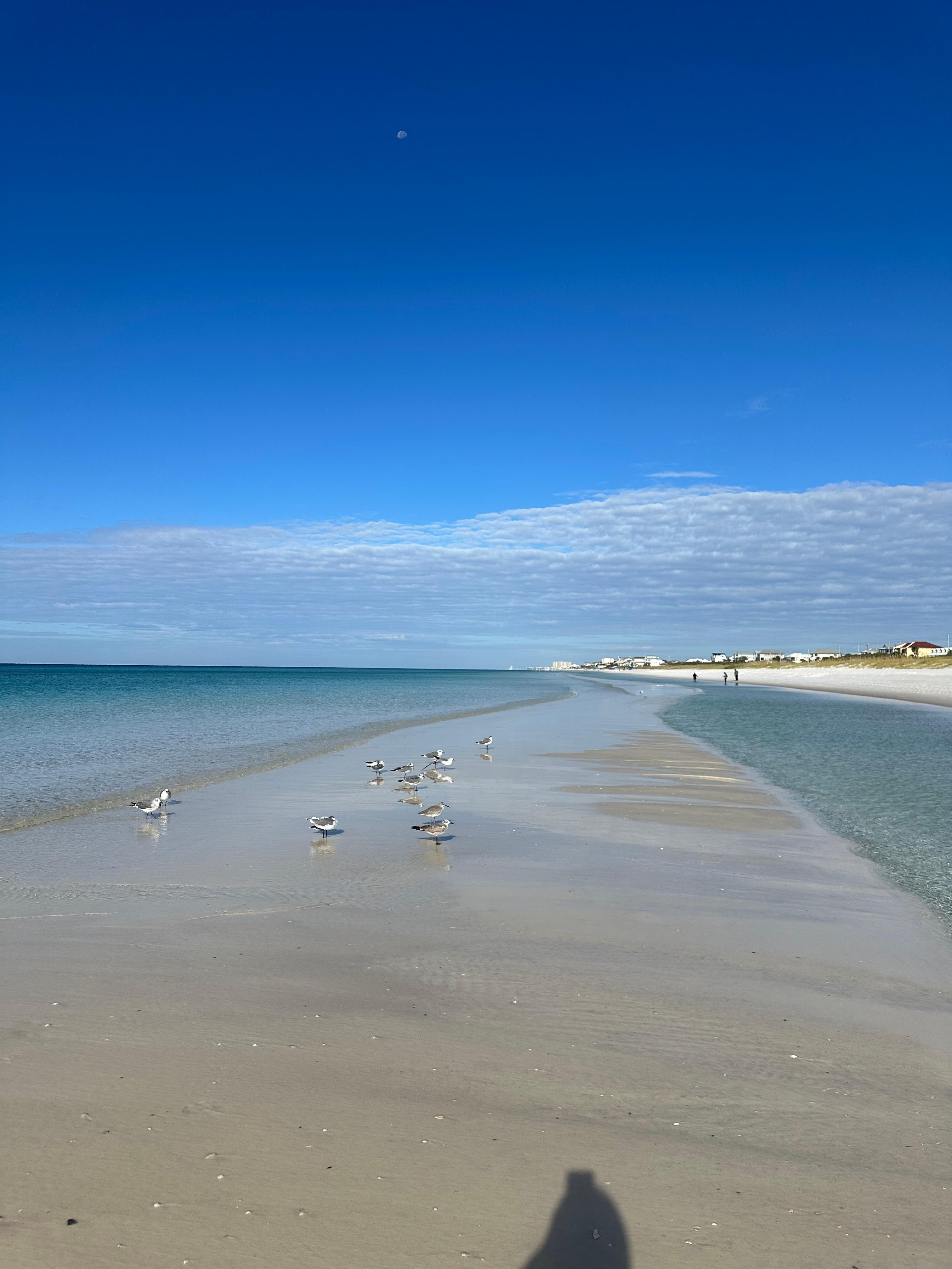 water was so clear and blue 
Beautiful 