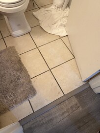 mold, dirty tile bathroom floor
