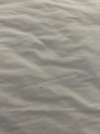 Bed with blood stain