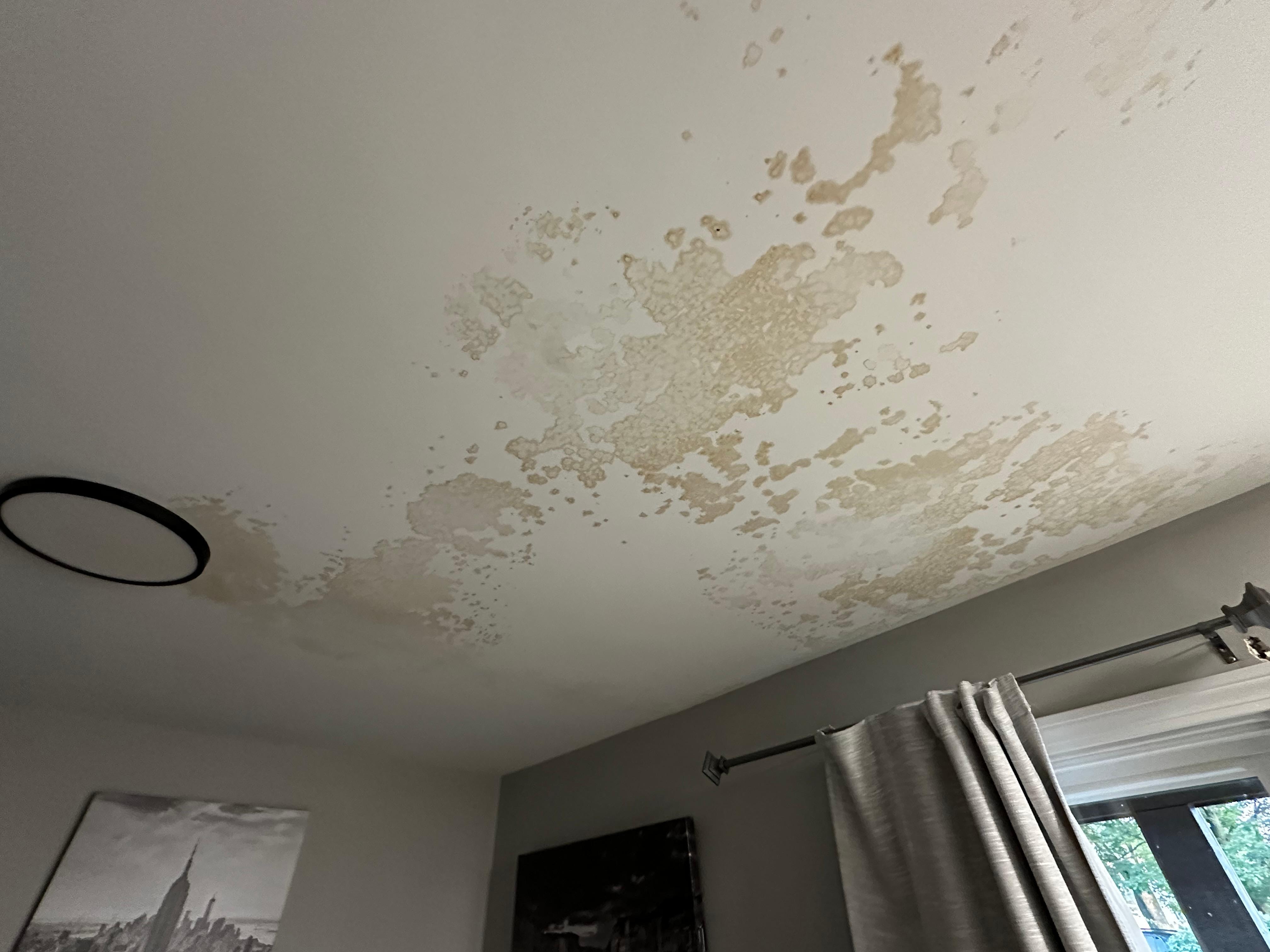 Dinning room ceiling water stain.
