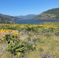 Loved the wildflowers. And the trailhead is across the street