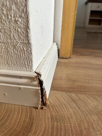 Hier ein Beispiel der Zierleisten. Davon gibt es viele in der Wohnung