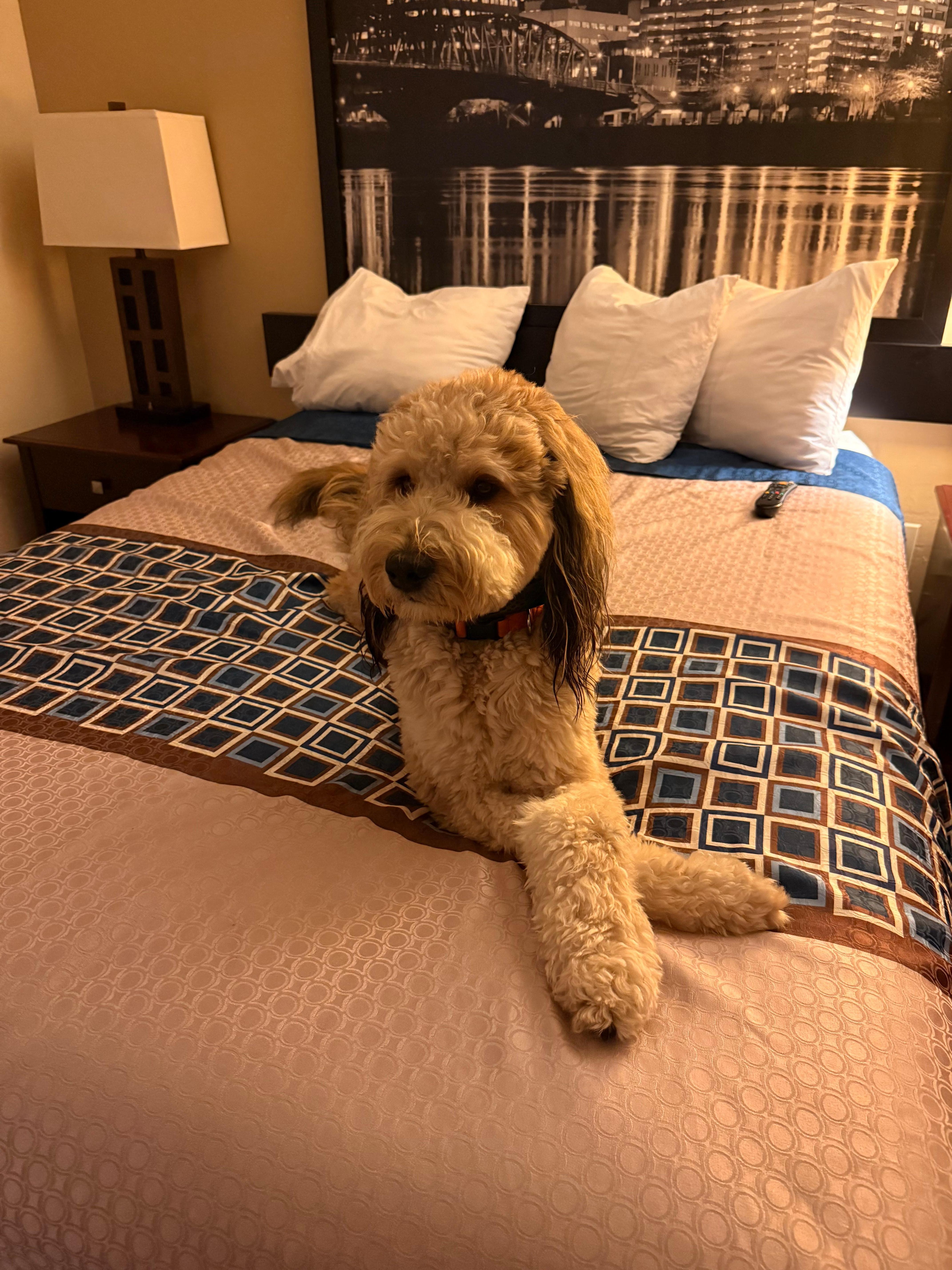 It’s great that you let me bring my “Hero” with me on my trips!