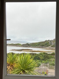 The view from the window