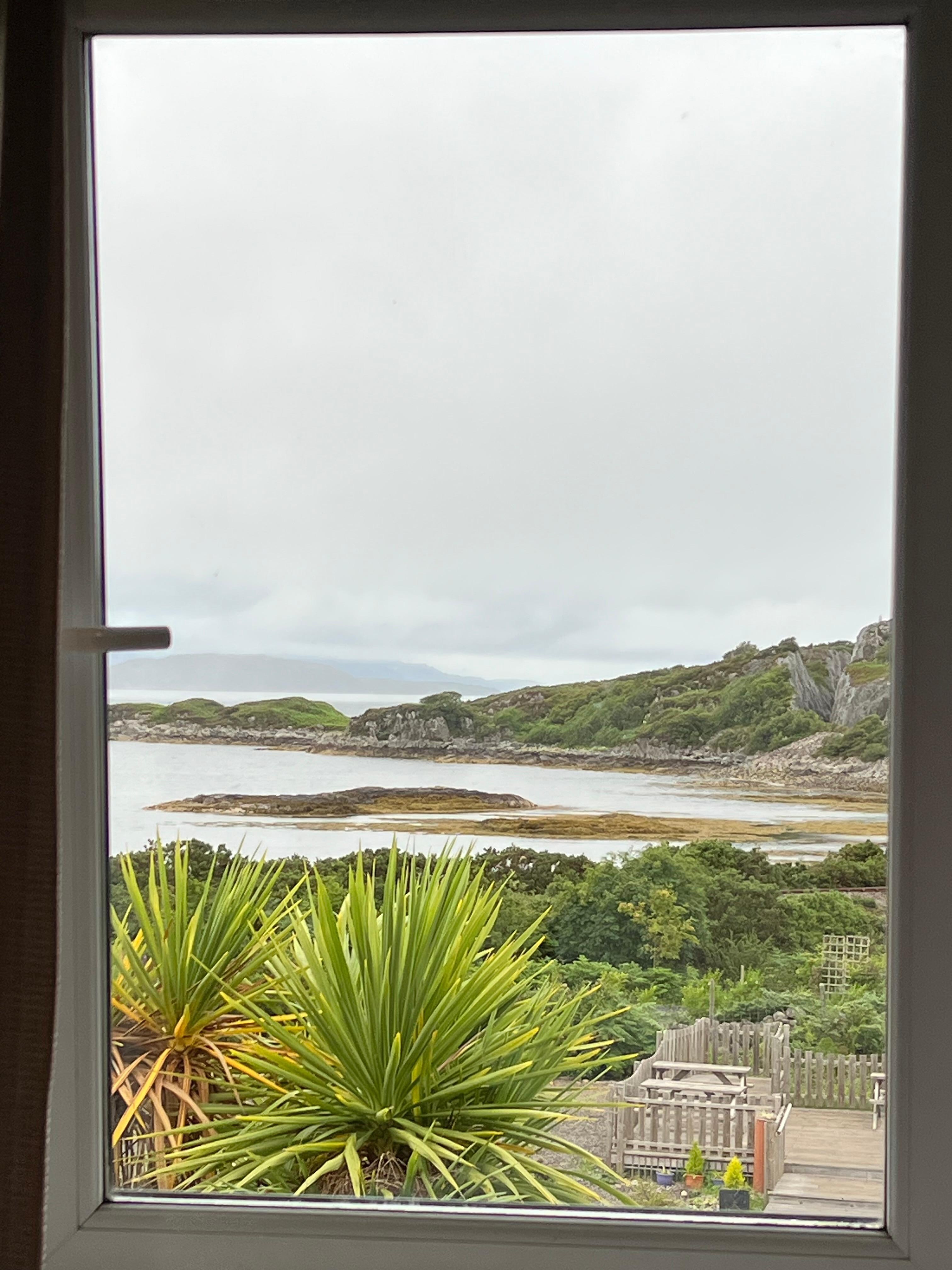 The view from the window