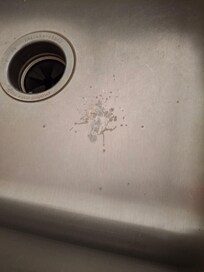 Mucus ball in kitchen sink