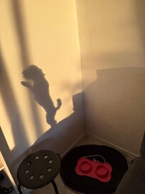 Gefährliches Raubtier 😉 - nein auch sehr Hundegetechte Unterkunft