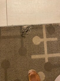 Pilled Carpet in the middle of the walk to sink and bathroom