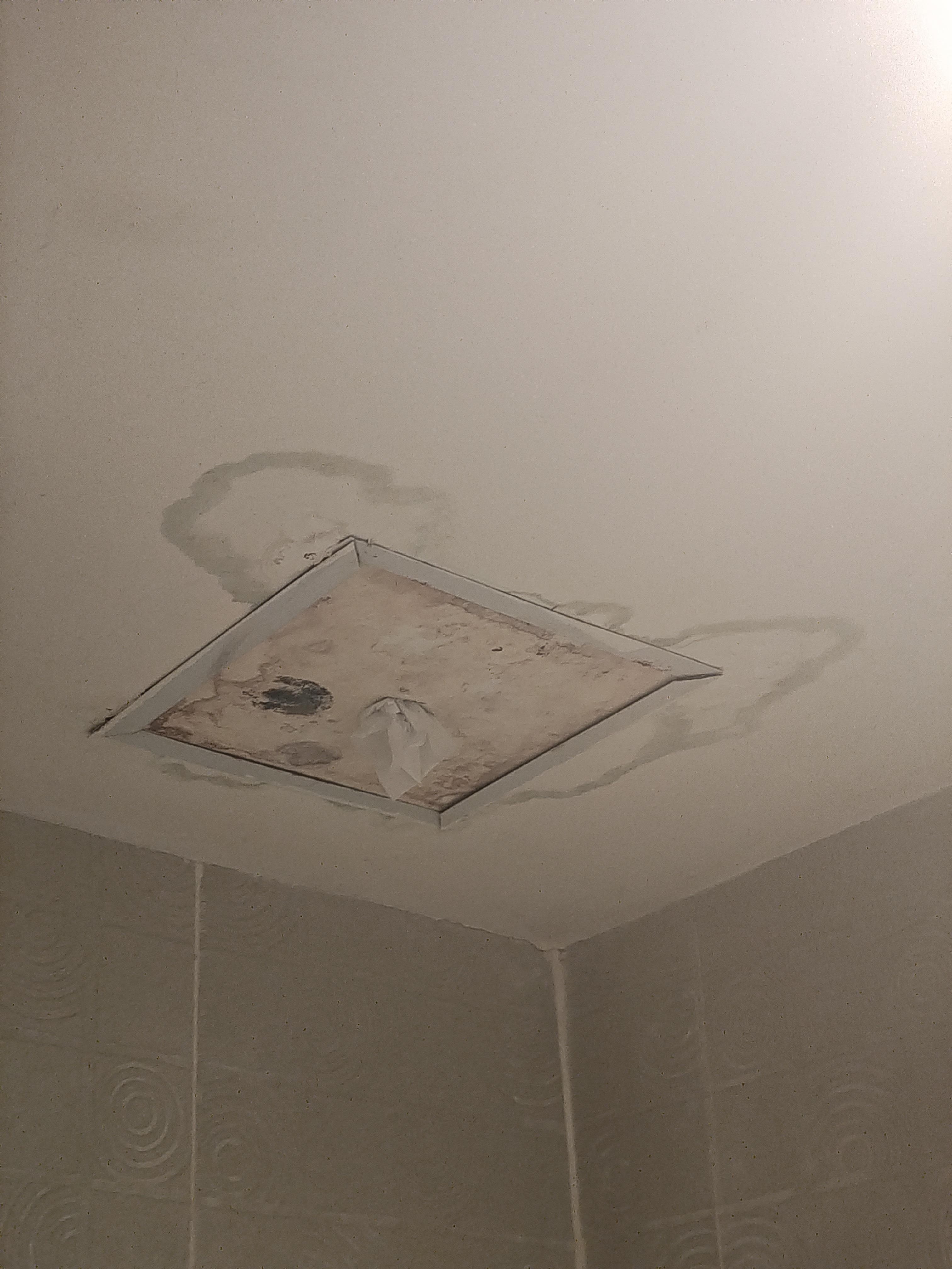 In the bathroom, smelt like mold, badly! 