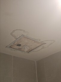 In the bathroom, smelt like mold, badly!