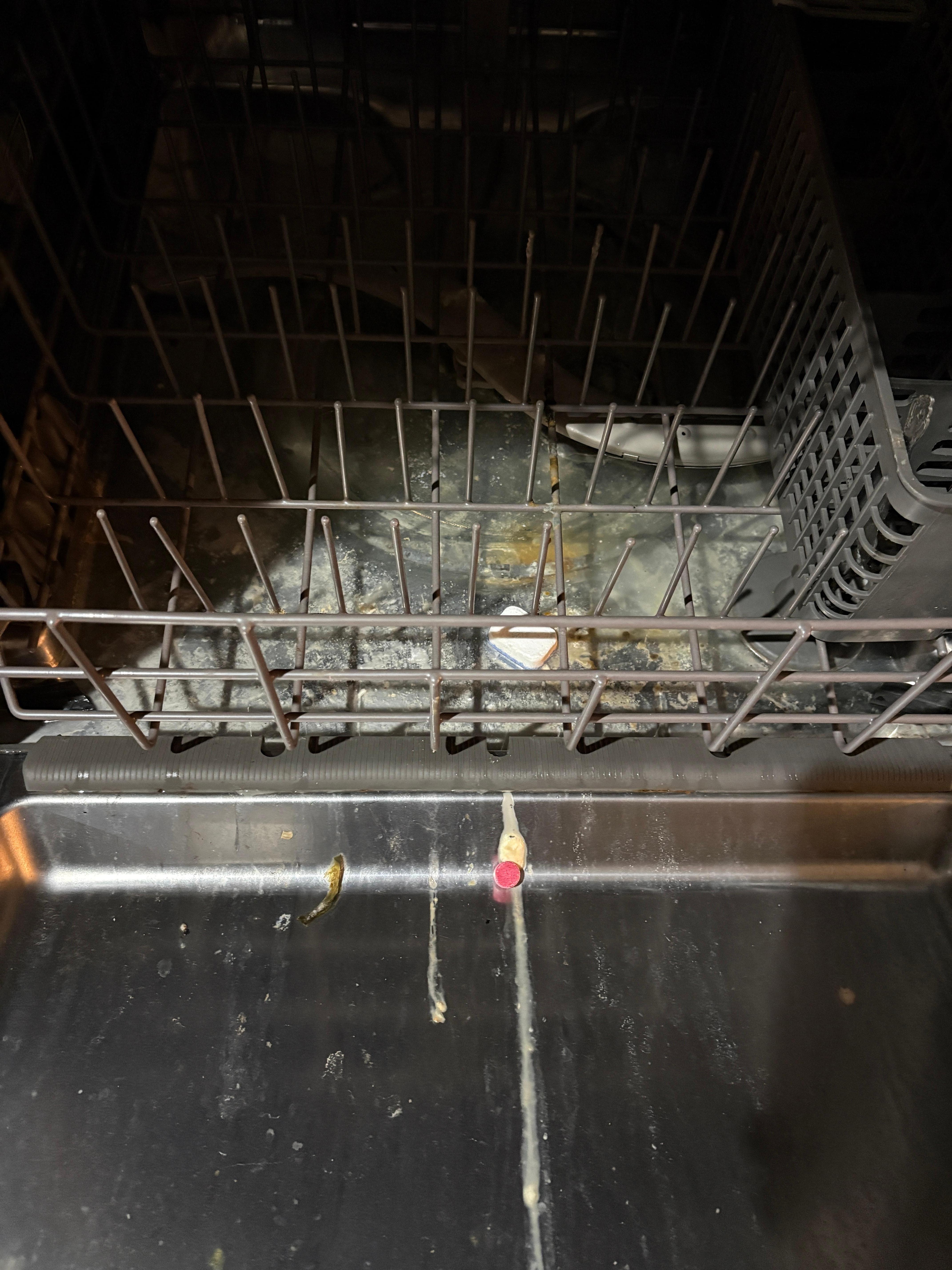 Dishwasher that did not work and had old standing water & mold in it