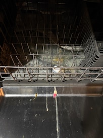 Dishwasher that did not work and had old standing water & mold in it