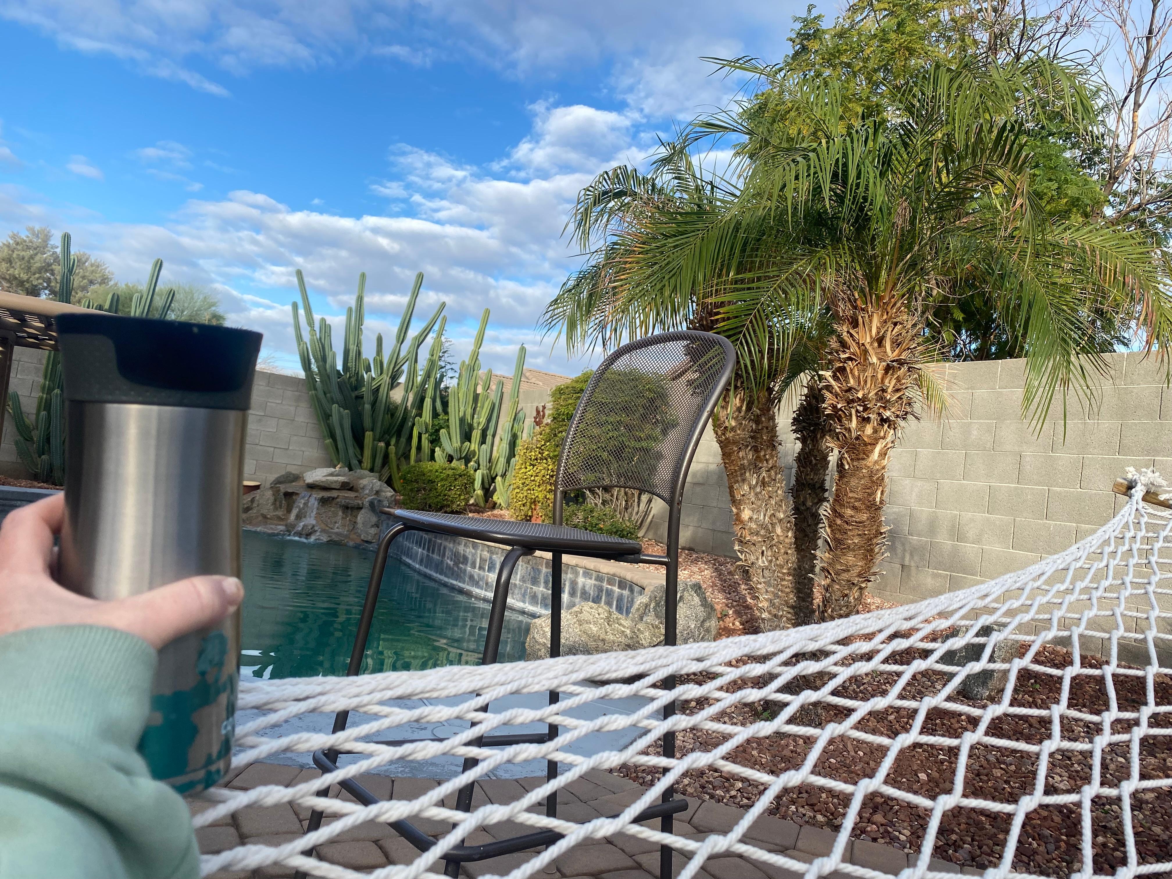 Most comfortable hammock every to watch the birds—even saw a hummingbird!