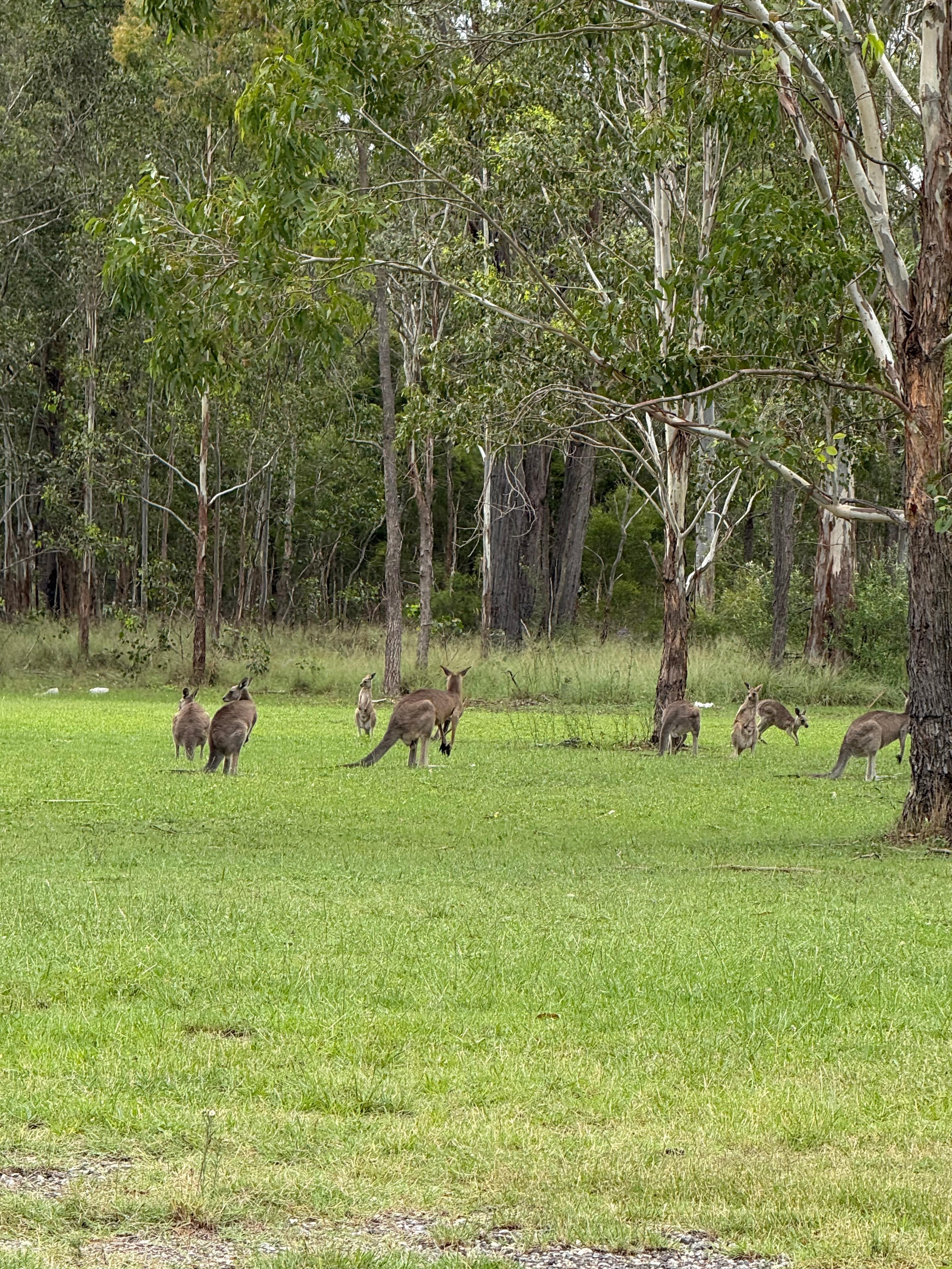 Beside hotel parking 