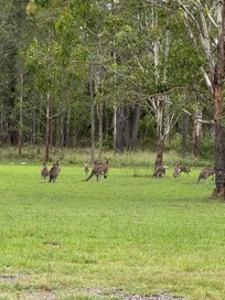 Beside hotel parking