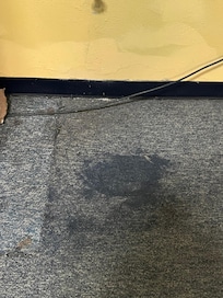Pool area carpet
