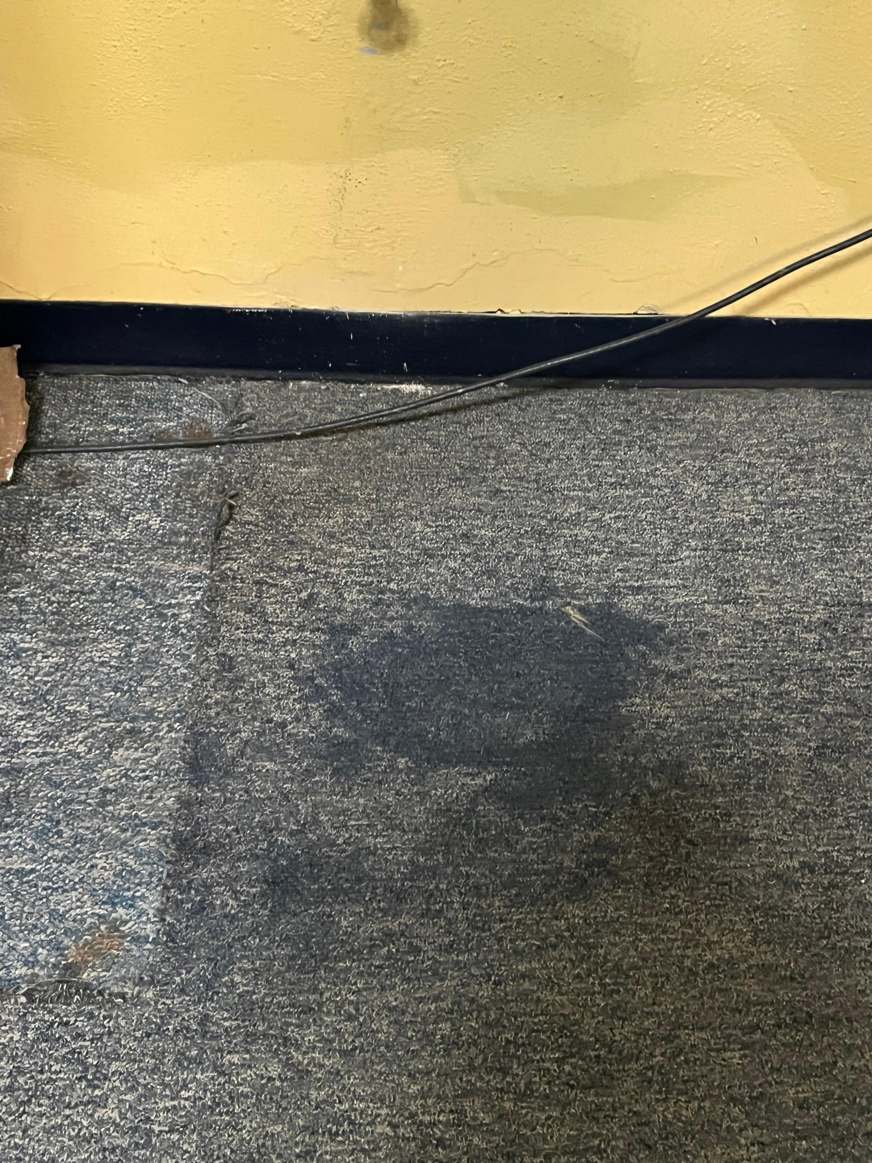 Pool area carpet