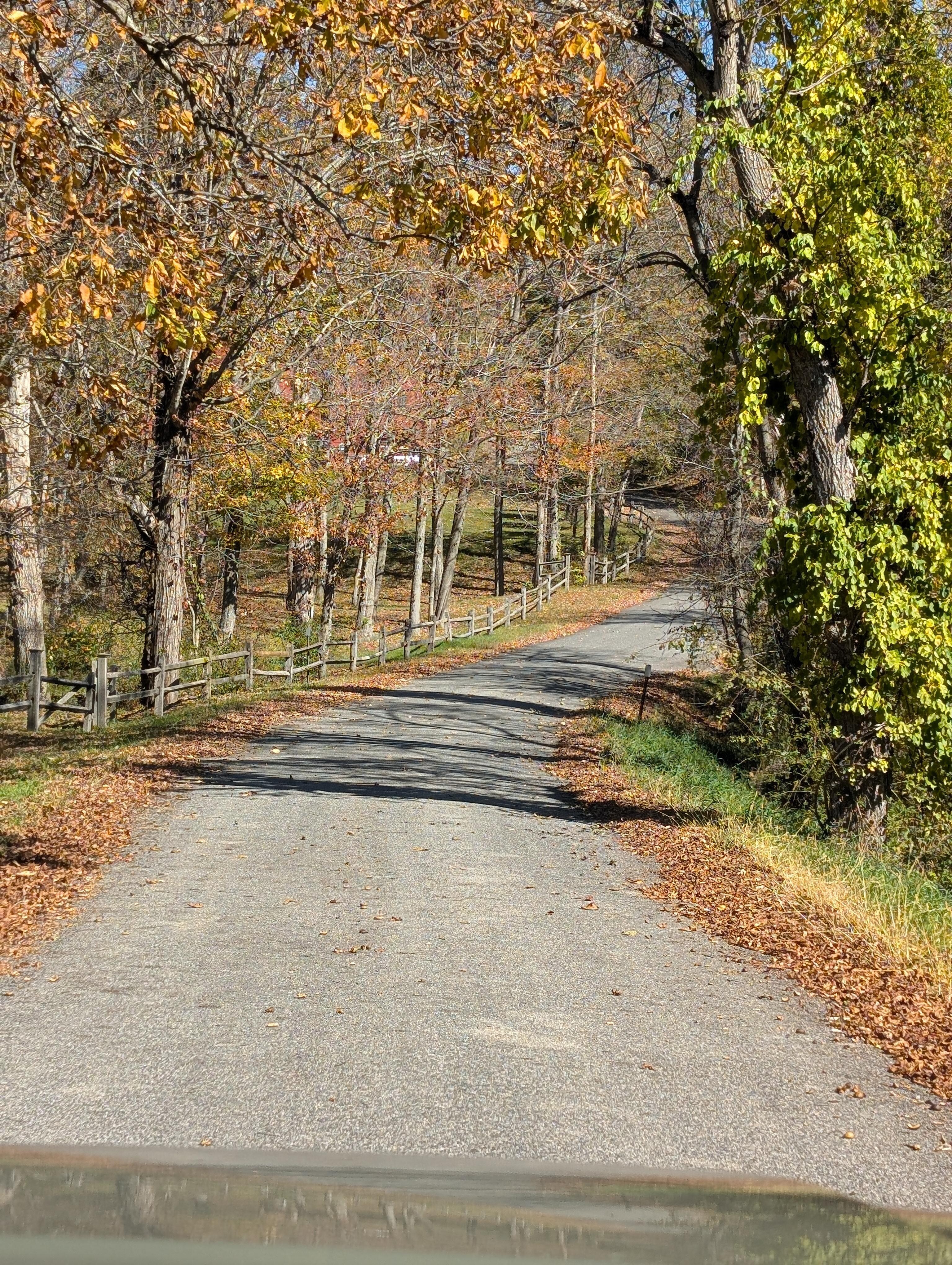 The driveway to the barn