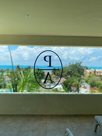 Suite 242 view