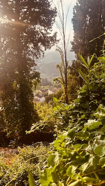 Blick von der Terrasse