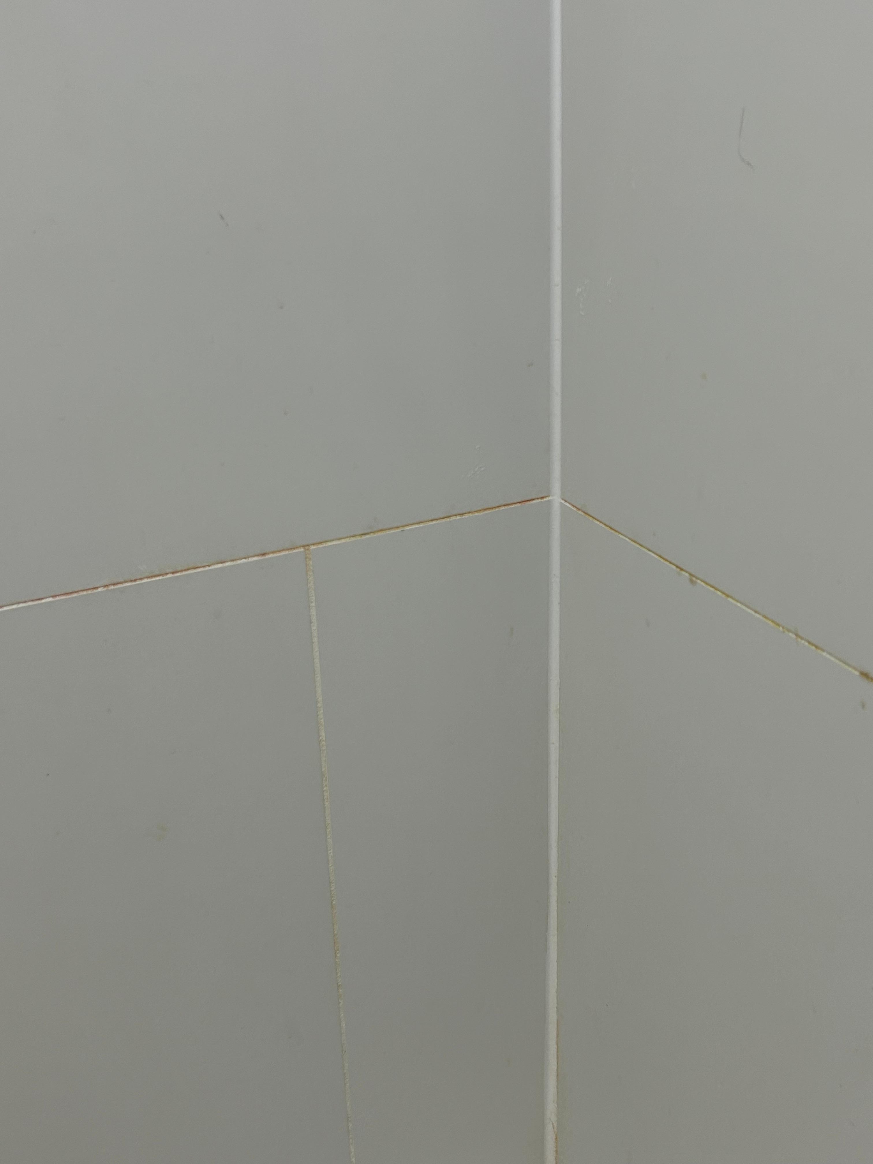 Bathroom walls had brown dirt lines 