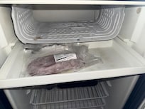 OLD MOLDY FOOD in the fridge!