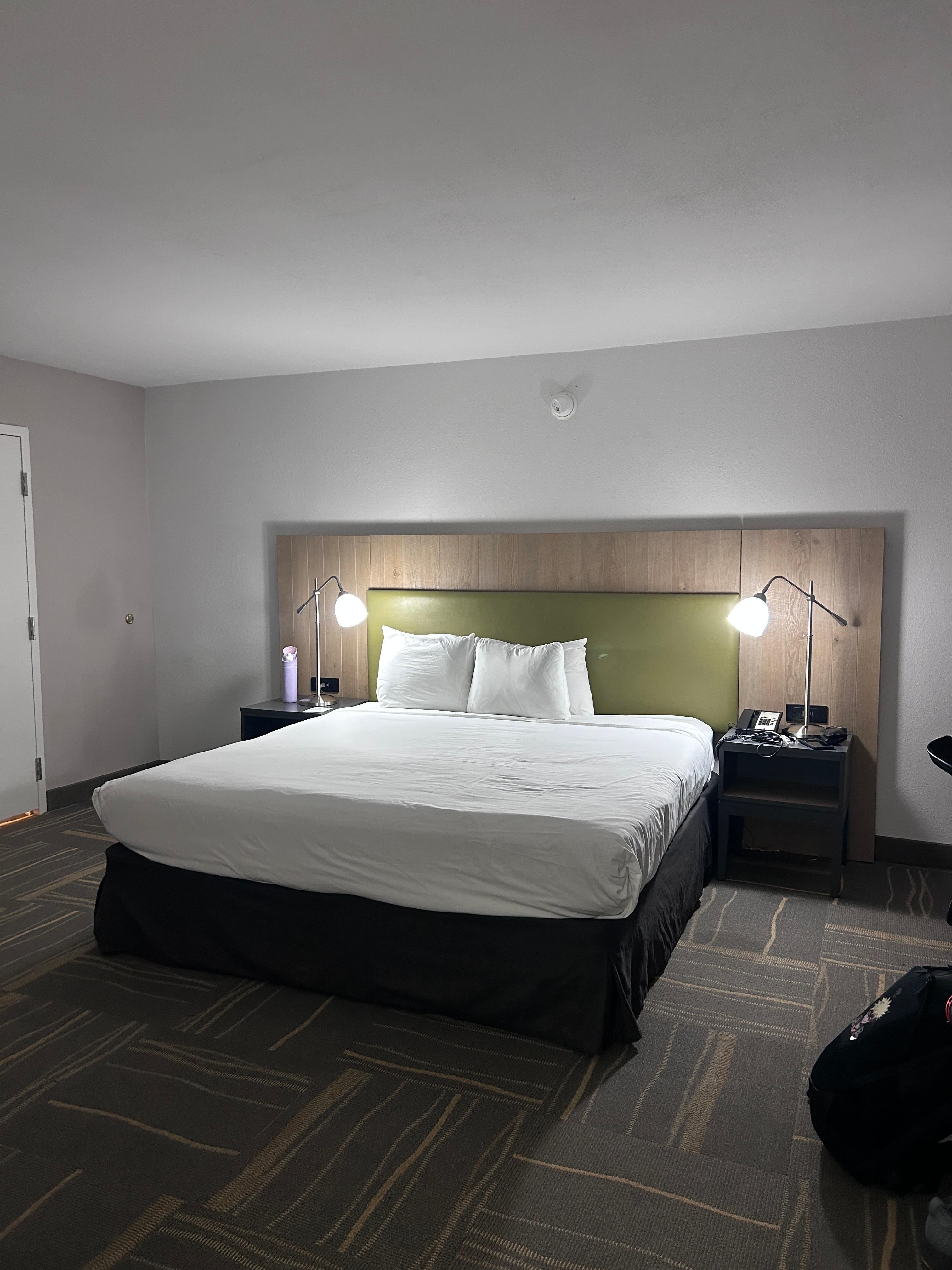 4 very small standard size pillows on a king size bed. also, there was one other lamp in the room, and that was about it for lighting.