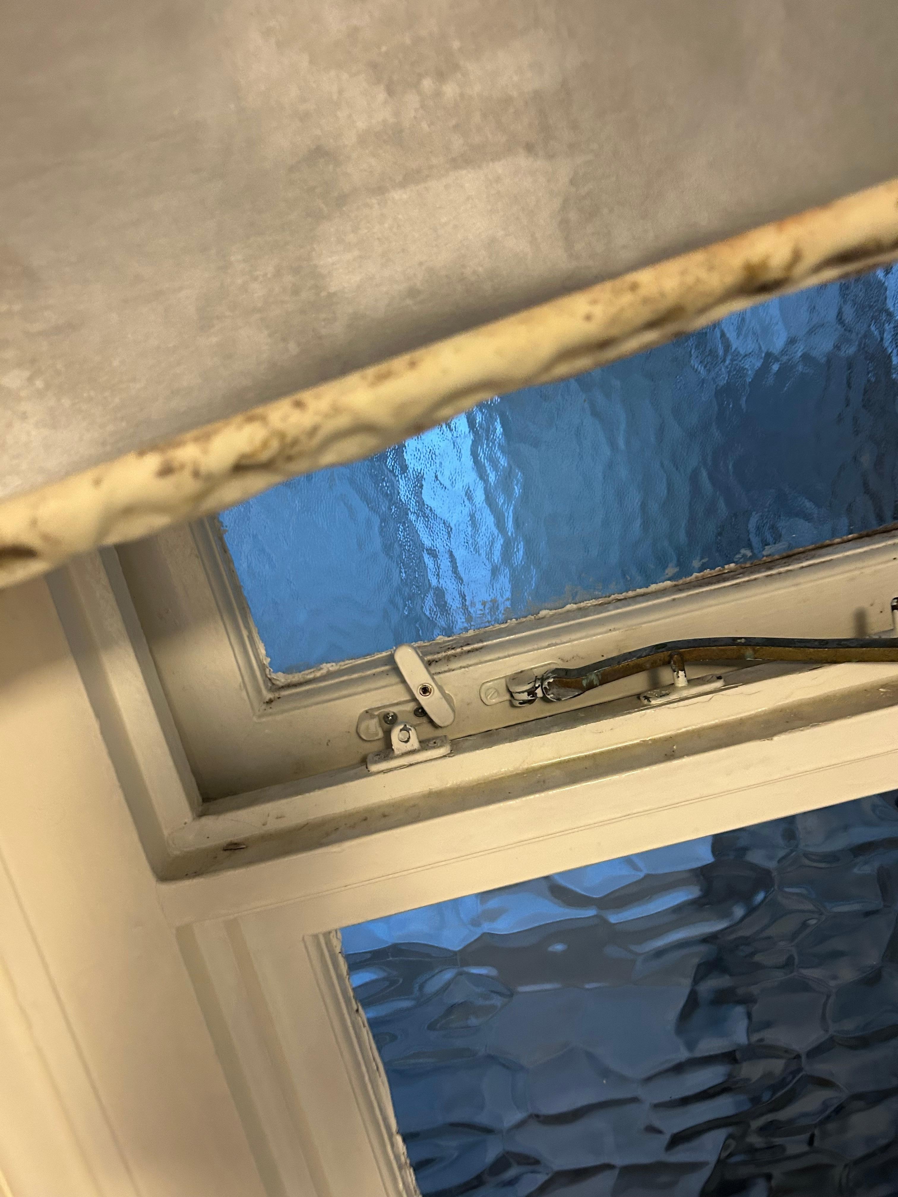 Mould on blind in bathroom 