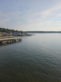 The view