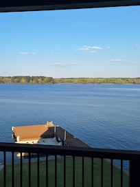 Back porch view