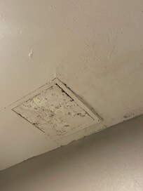 Mold