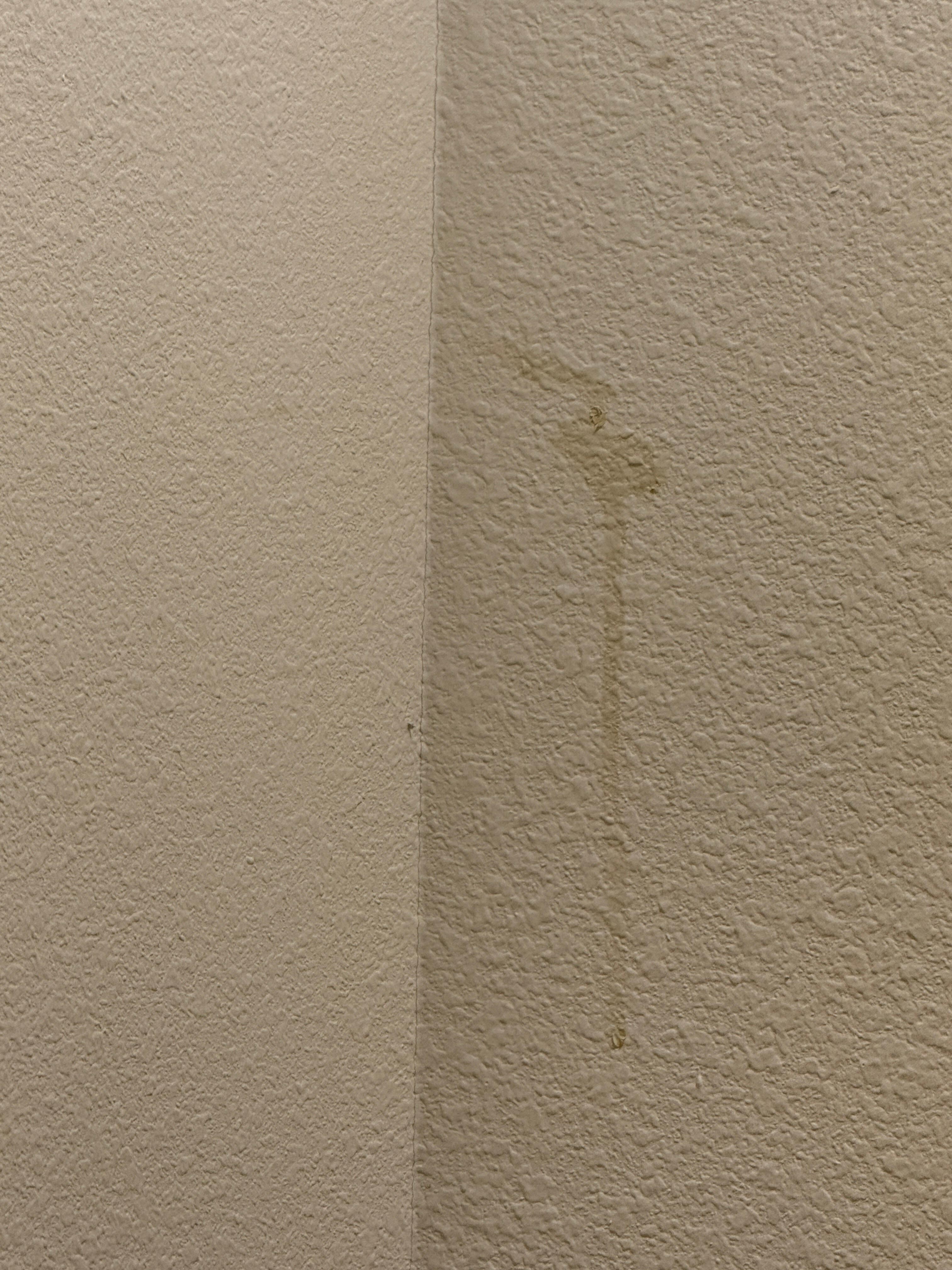 Spit. Vomit, don’t know it adorned the wall of the bathroom