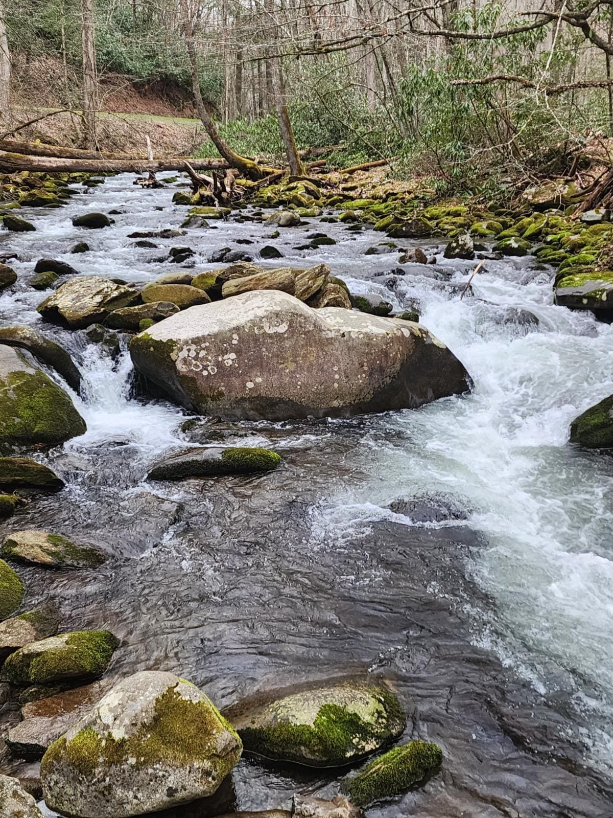 Just a stop on the beginning of the dragons tail