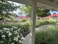 View from our little porch
