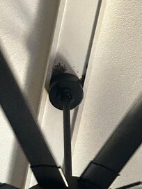 Ceiling fan in living room and what appears to be mold