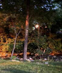 River view sitting outside on the Adirondack chairs BEAUTIFUL and so peaceful
